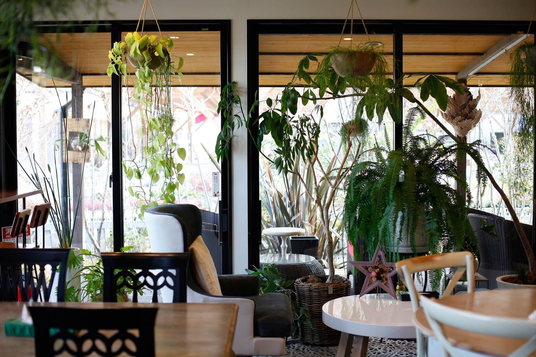 バンビーナ カフェ 施設のご紹介 公式 ゆくはし植物園