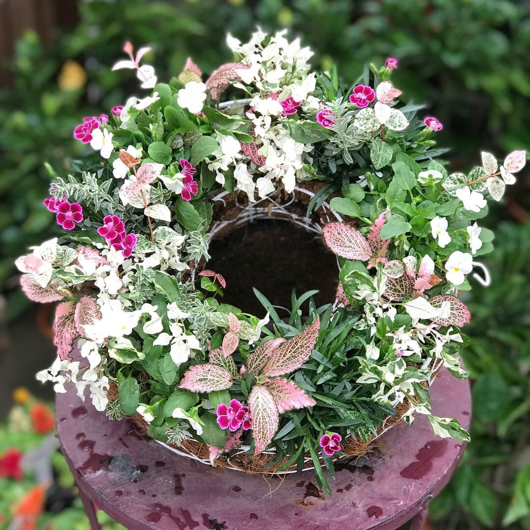 リースの寄せ植え教室 | スケジュール | 【公式】ゆくはし植物園