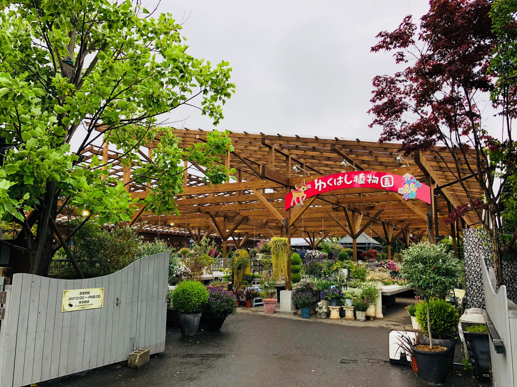 ゆくはし植物園 カフェ バンビーナ 店休日 スケジュール 公式 ゆくはし植物園